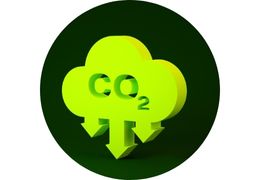 absorbe le CO2