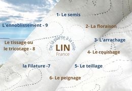 De la plante à la toile : l'incroyable aventure du lin