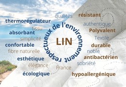 10 Bonnes raisons de choisir le LIN