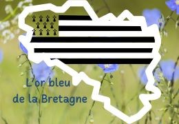 L'histoire du lin en Bretagne : de la fortune des marchands à la renaissance d'une filière d'avenir
